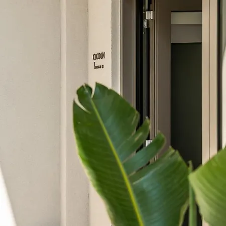 Cocoon Hostel *